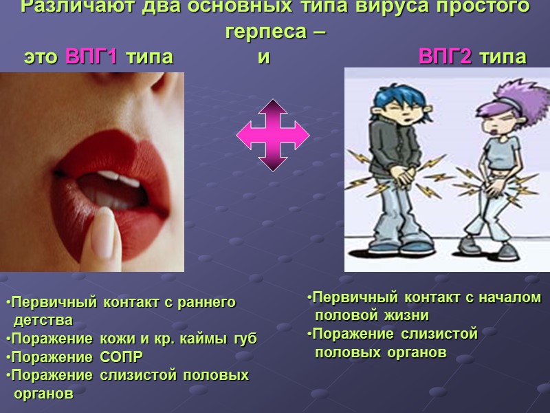 Различают два основных типа вируса простого герпеса –  это ВПГ1 типа  